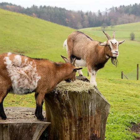 Lägenhet Haus Sonnenschein *
