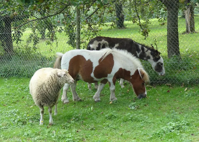 Appartement Haus Sonnenschein *