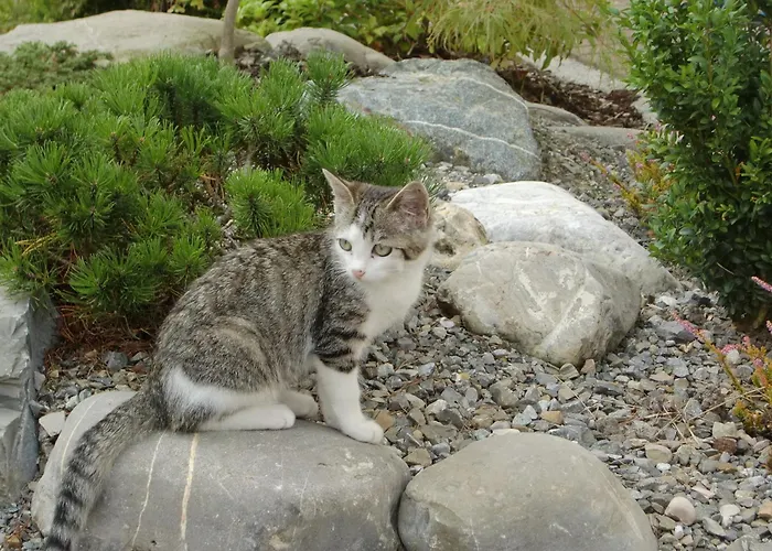 Appartement Haus Sonnenschein Tettnang